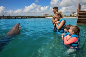 Nado con delfines Supremo - Playa Mujeres