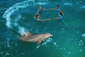 Nado con delfines Supremo - Playa Mujeres