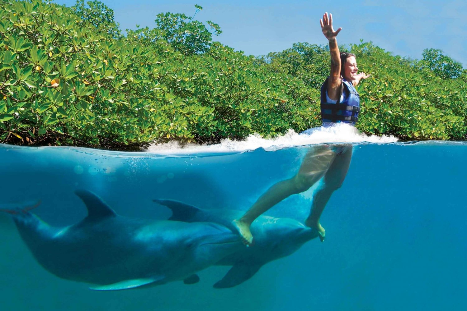 Swim with dolphins Supreme - Riviera Maya