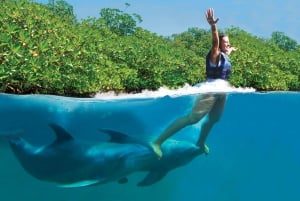 Swim with dolphins Supreme - Riviera Maya