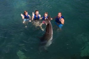 Swim with dolphins Supreme - Riviera Maya