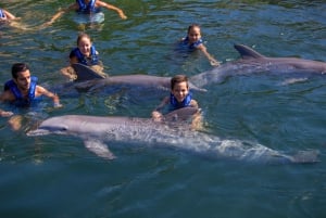 Swim with dolphins Supreme - Riviera Maya