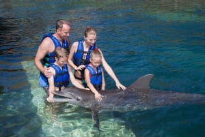 Swim with dolphins Supreme - Riviera Maya