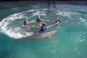 Swim with dolphins Supreme - Riviera Maya