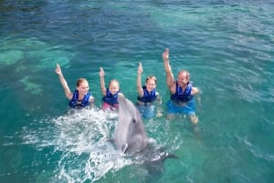 Swim with dolphins Supreme - Riviera Maya