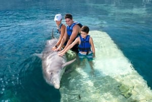 Swim with dolphins Supreme - Riviera Maya