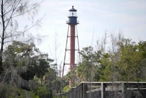 Tarpon Springs: Crucero nocturno con delfines