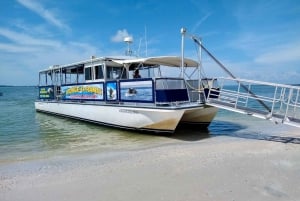 Tarpon Springs: Crucero nocturno con delfines