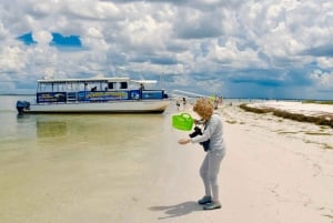 Tarpon Springs: Crucero nocturno con delfines