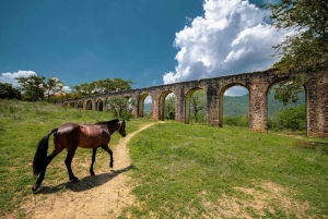 Taxco: 16th Century Mining Beneficiation Estate Tour