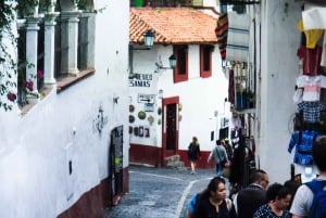 Excursión de un día a Taxco, Cuevas de Cacahuamilpa y Cuernavaca