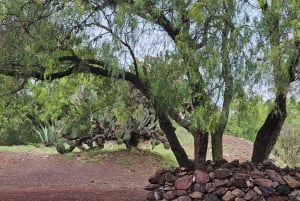 Desde Ciudad de México: Visita de medio día a Teotihuacán