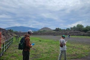 Desde Ciudad de México: Visita de medio día a Teotihuacán