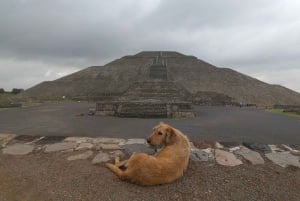 Desde Ciudad de México: Visita de medio día a Teotihuacán