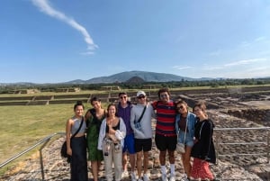 Desde Ciudad de México: Visita de medio día a Teotihuacán