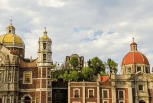 Teotihuacan and Basilica of Guadalupe with mezcal