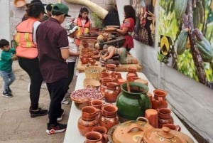 Gastronomic Tour of Coyoacán & Frida Kahlo Museum