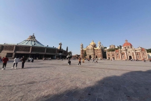 Teotihuacan & Basilica de Guadalupe: Tour privado con Comida