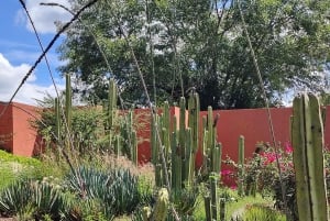 Teotihuacán: Visita Completa Ciudad de los Dioses sin trampas para turistas