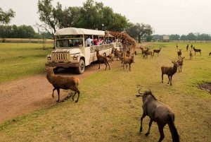 Teotihuacan: Entrance to Animal Kingdom Park; Adventure & Nature
