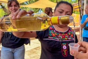 Teotihuacan: Full Guided Tour & Guadalupe Shrine Day Trip