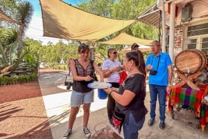 Teotihuacán: Excursión de un día al Santuario de Guadalupe y tour guiado completo
