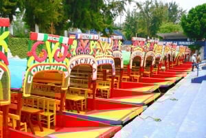 Teotihuacan, Guadalupe, Xochimilco Coyoacan & Frida Kahlo