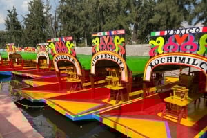 Teotihuacan, Guadalupe, Xochimilco Coyoacan & Frida Kahlo