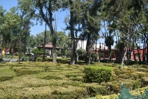 Teotihuacan, Guadalupe, Xochimilco Coyoacan & Frida Kahlo