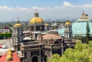 Teotihuacan, Guadalupe, Xochimilco Coyoacan & Frida Kahlo