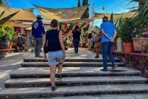 Teotihuacán, Guadalupe, Xochimilco Coyoacán y Frida Kahlo