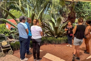 Teotihuacán, Guadalupe, Xochimilco Coyoacán y Frida Kahlo