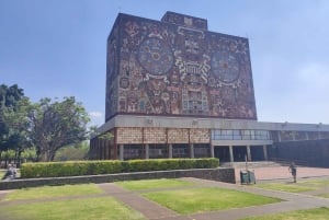 Teotihuacán, Guadalupe, Xochimilco Coyoacán y Frida Kahlo