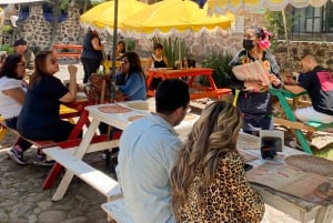 Teotihuacán, Guadalupe, Xochimilco Coyoacán y Frida Kahlo