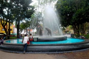 Teotihuacán, Guadalupe, Xochimilco Coyoacán y Frida Kahlo