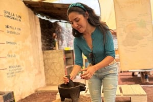 Teotihuacan, guided tour + pick up from CDMX + breakfast