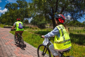 Teotihuacán: Historia, Cultura y Degustación de Pulque en Bicicleta