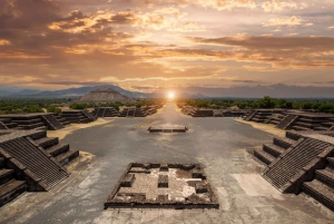 Ciudad de México: Pirámides de Teotihuacán Tour privado y transporte