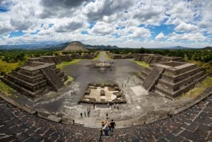 Safari a Teotihuacan: Ruinas Antiguas e Interacción con Animales