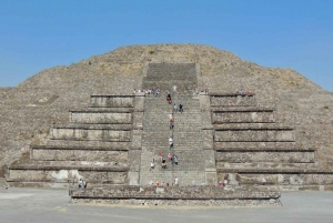 Safari a Teotihuacan: Ruinas Antiguas e Interacción con Animales