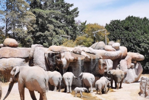 Safari a Teotihuacan: Ruinas Antiguas e Interacción con Animales