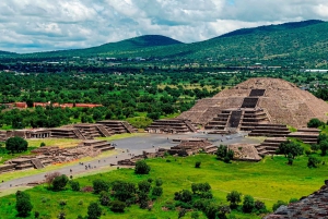 From Mexico City: Teotihuacan & Basilica of Guadalupe Tour