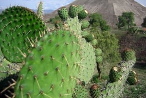 Teotihuacan: Visit Pyramids and Craft a Colorful Piñata