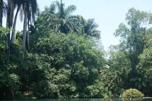 Tepoztlan: Las Estacas and Tepoztlan Tour