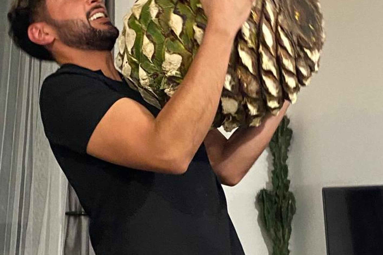 Tequila and Mezcal tasting in an educational tasting room