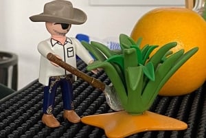 Tequila and Mezcal tasting in an educational tasting room