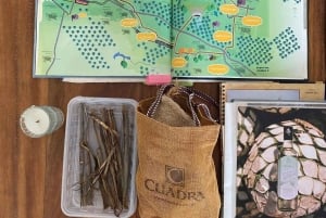 Tequila and Mezcal tasting in an educational tasting room