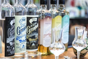 Tequila and Mezcal tasting in an educational tasting room