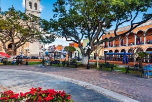 The best of San Francisco de Campeche Private Walking Tour