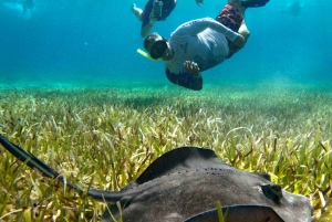 The Cozumel Turtle Sanctuary Snorkel Tour